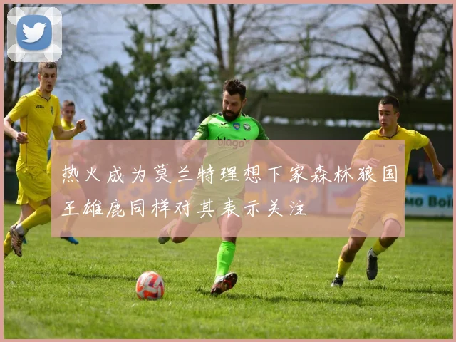 热火成为莫兰特理想下家森林狼国王雄鹿同样对其表示关注