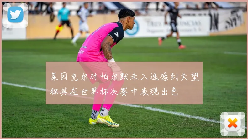 莱因克尔对帕尔默未入选感到失望称其在世界杯决赛中表现出色